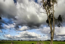 苹果CMSV10播放器dplayer优化版