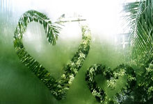 苹果cms模板被加入广告代码