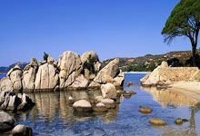 苹果cms模板论坛